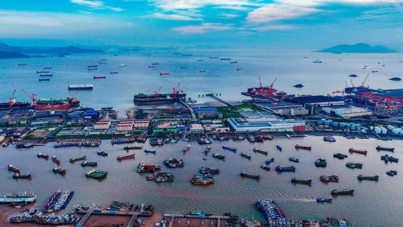 舟山市新城鲸鱼百货超市 # 舟山祥业商贸有限公司-墨嘉咨询