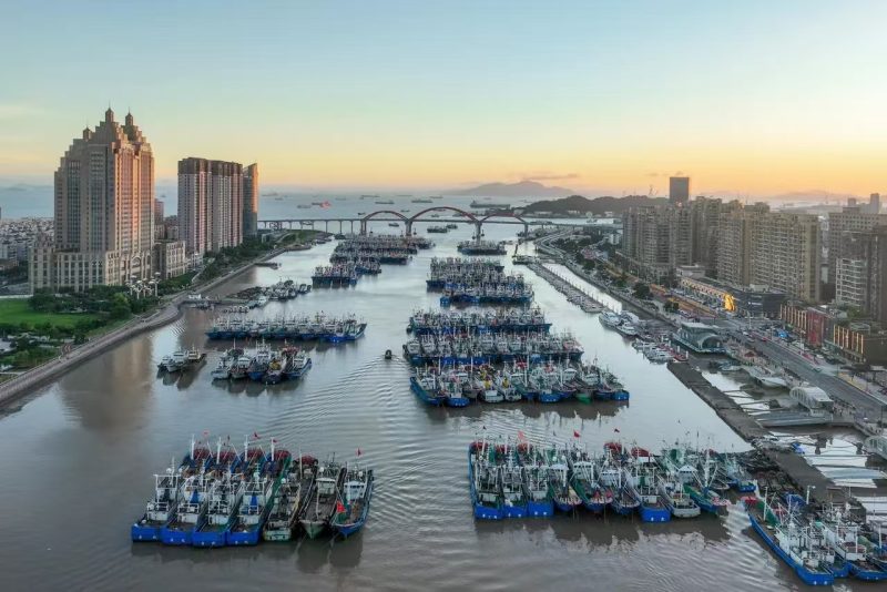 舟山市普陀区特力劳保用品商店，-墨嘉咨询