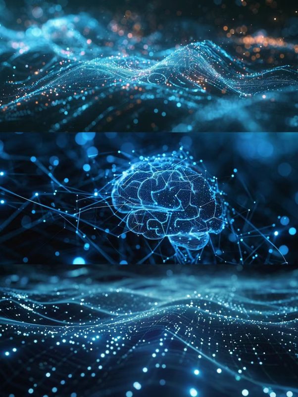 “为了服务他的国家，拜登总统应该退出竞选”。-墨嘉咨询