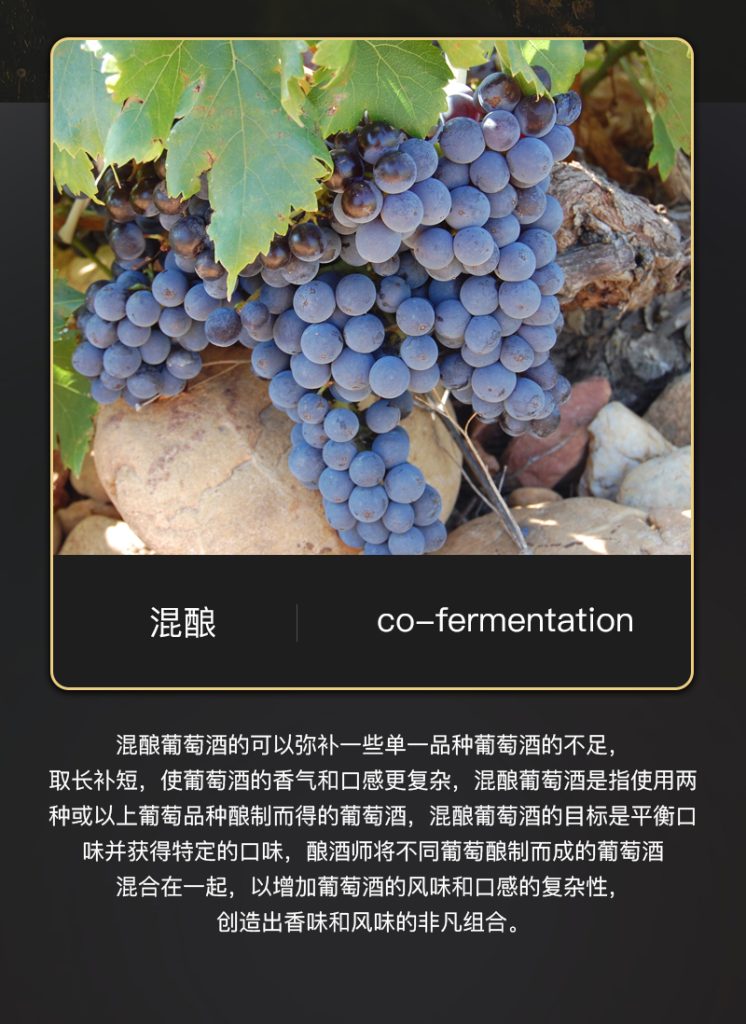 图片[5]-雷盛899法国干红（一箱六瓶）-墨嘉咨询